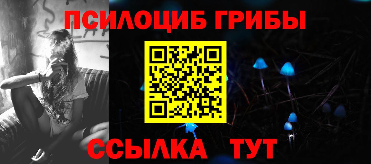 Нововоронеж  где можно купить наркотик  Псилоцибиновые грибы Magic Shrooms  Вход с VPN  Галлюциногенные грибы Magic Shrooms 